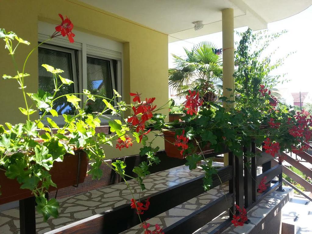 Apartment Perunika Zadar Eksteriør billede